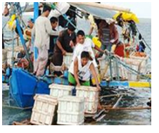 Philippines đưa ra biện pháp bảo vệ Benham Rise