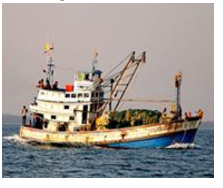 EU: Thái Lan cần hành động chống IUU