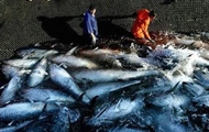 Big nations block curbs on tuna overfishing